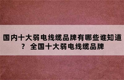 国内十大弱电线缆品牌有哪些谁知道？ 全国十大弱电线缆品牌